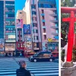 The Ultimate Tokyo Q&A Guide for an Unforgettable Trip